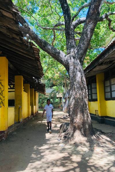 Whatsapp Image 2023 08 04 At 11.08.26